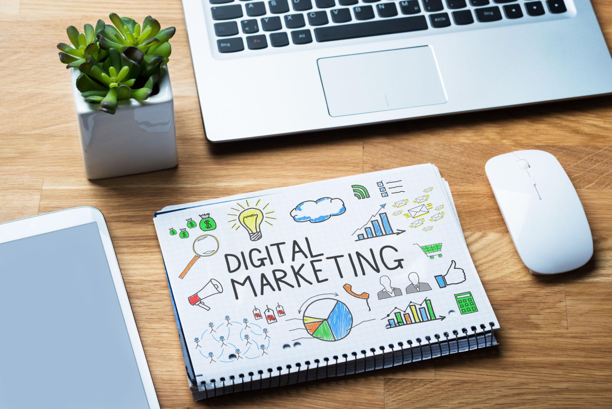 SEO Services Company in Inglewood CA